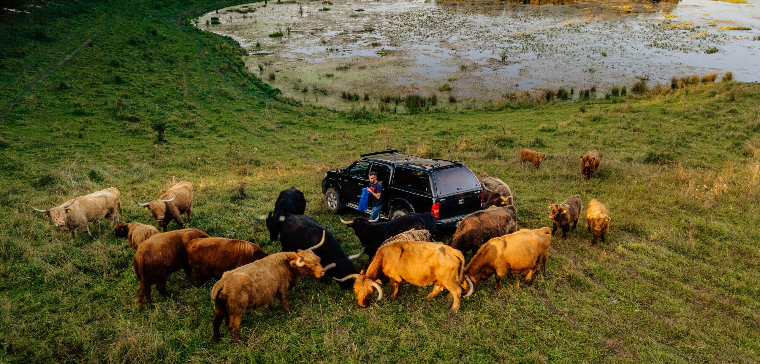 The Highland Farm